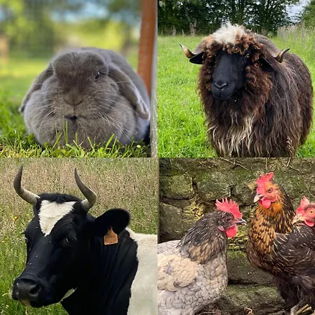 Domaine De La Lipomerie - La Petite Maison Casa vacanze Gapree