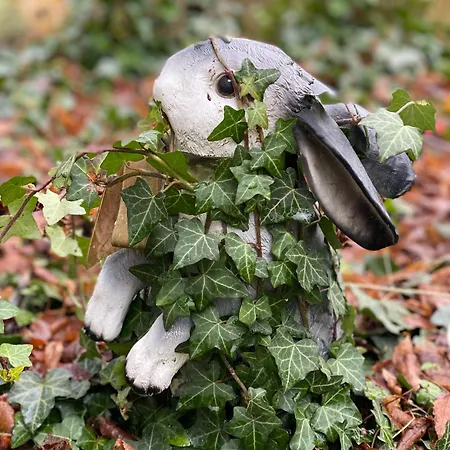 Domaine De La Lipomerie - La Petite Maison 度假居