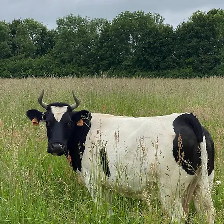 Casa vacanze Domaine De La Lipomerie - La Petite Maison Gapree