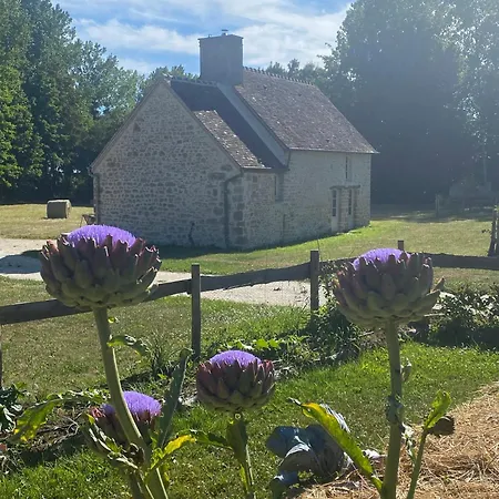 Domaine De La Lipomerie - La Petite Maison 度假居 *