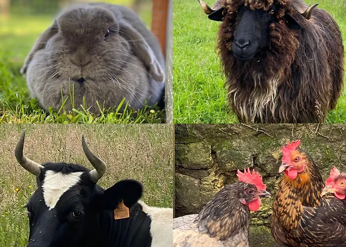 Domaine De La Lipomerie - La Petite Maison Feriehus Gapree