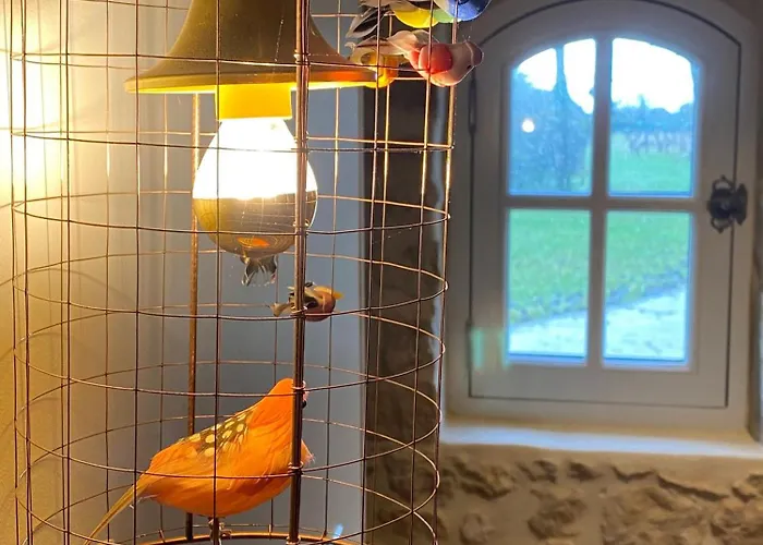 Domaine De La Lipomerie - La Petite Maison *