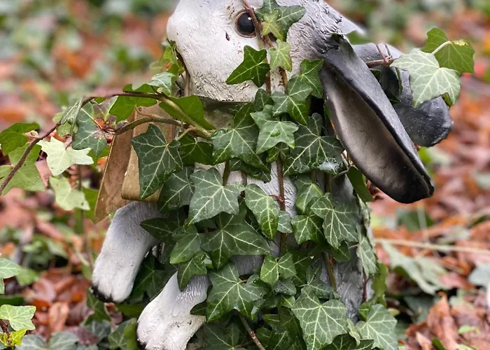 Domaine De La Lipomerie - La Petite Maison Feriehus