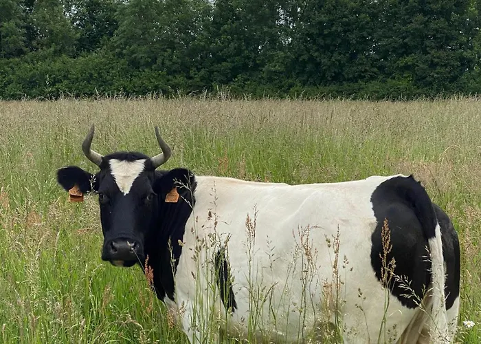 Feriehus Domaine De La Lipomerie - La Petite Maison Gapree